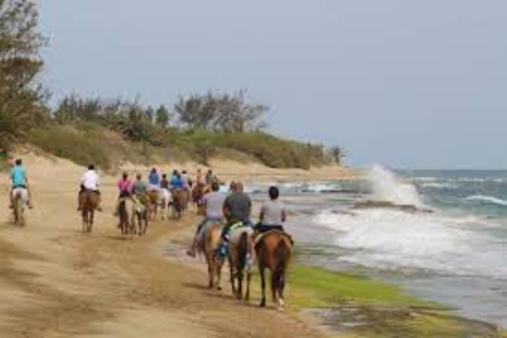 Haudimar Ph Beachfront Apt 4Br/3Bath Isabela Eksteriør bilde